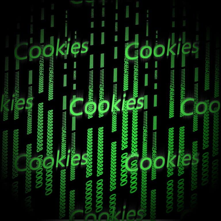 Ce que les spécialistes du marketing digital doivent savoir sur les cookies